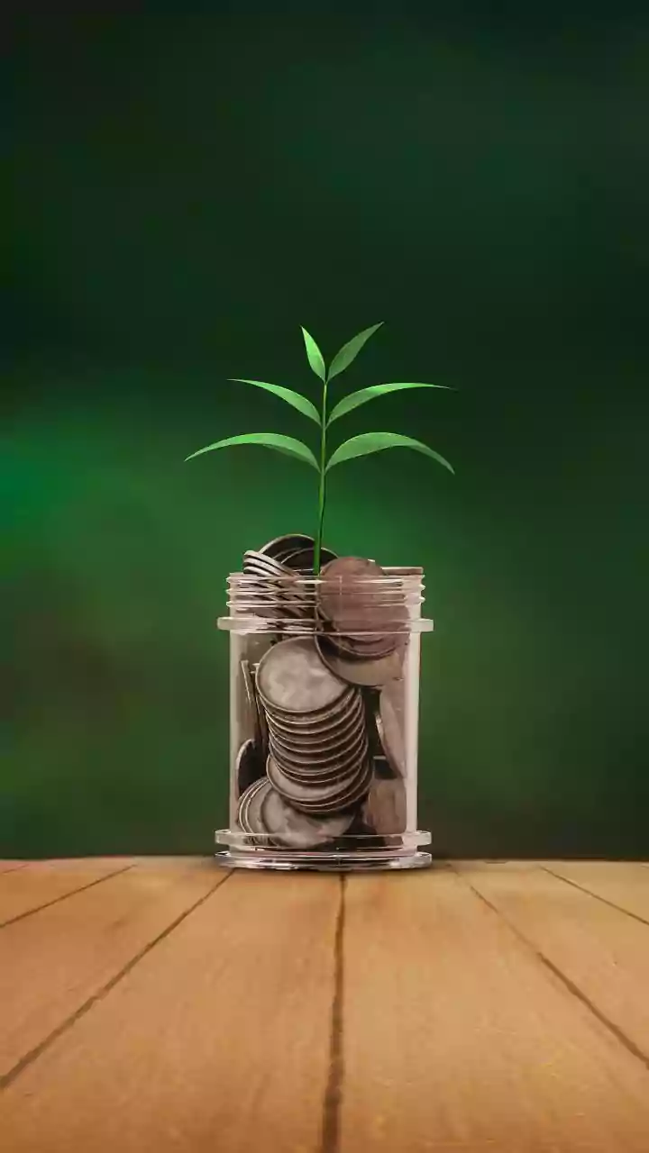 Groww makes stellar market debut; shares jump nearly 31 pc