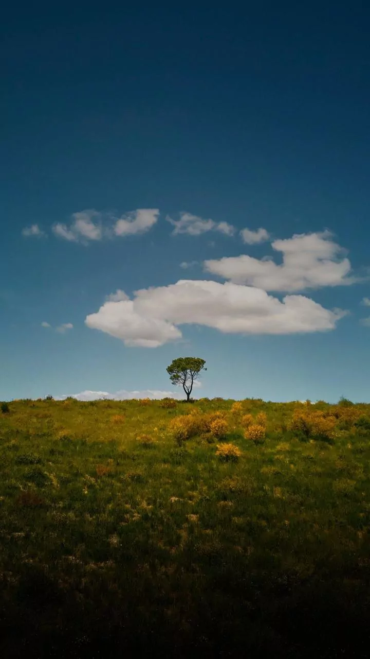O fim do fantasma da solidão: como a solitude virou o novo ideal de sucesso emocional