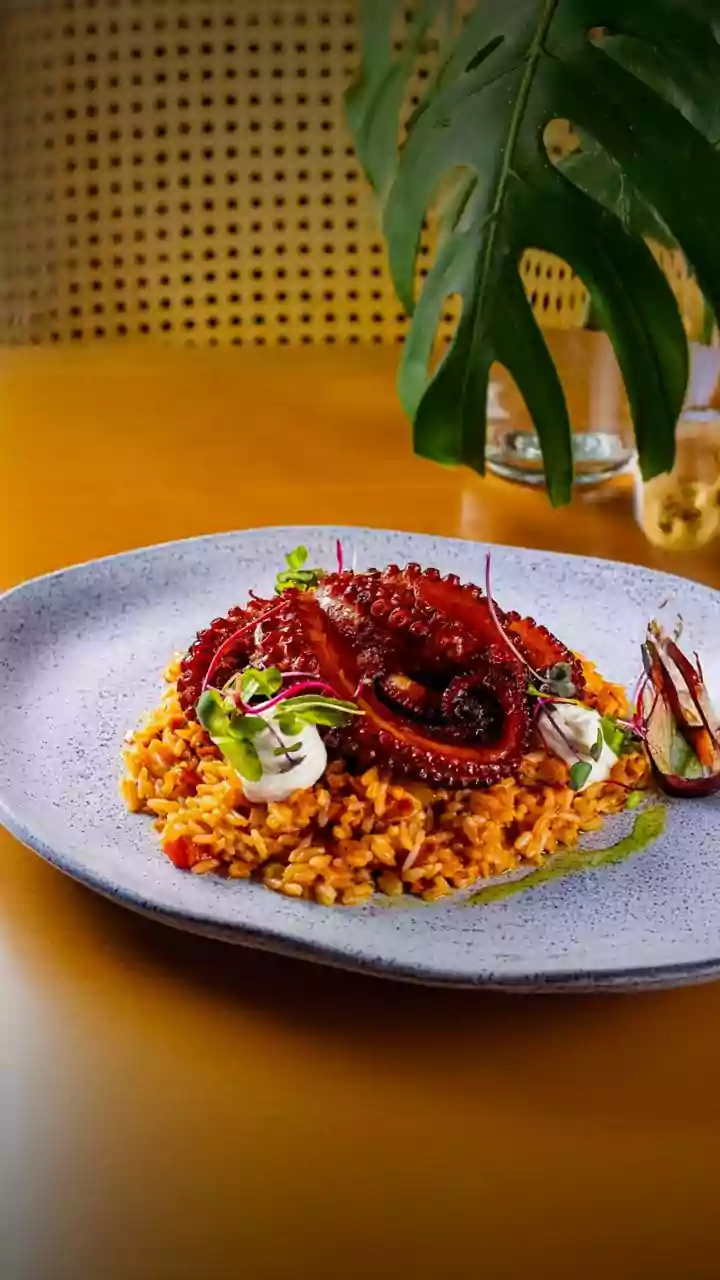 Arroz com polvo: prato sofisticado para impressionar em casa