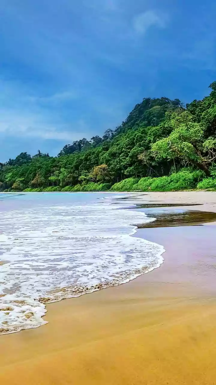 Andaman DGP conferred with President's Medal for distinguished service