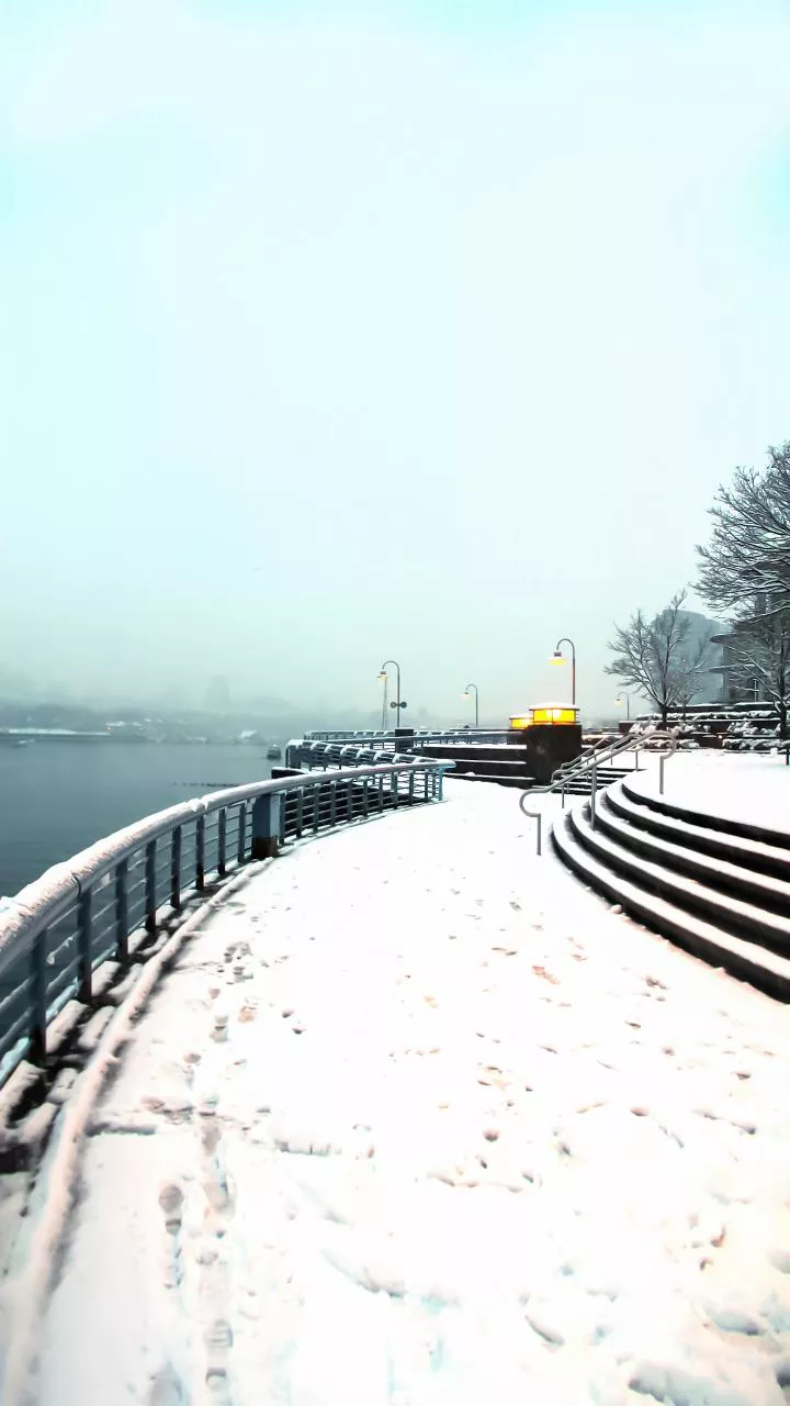 Cold conditions grip Bengal, Kolkata records season's lowest temperature on last day of year