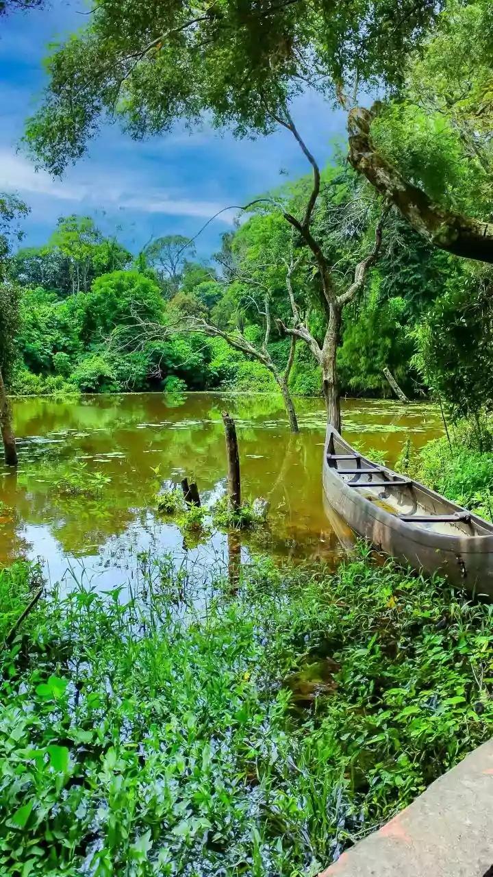 Tiny Titans: Discovering the World's Shortest Rivers