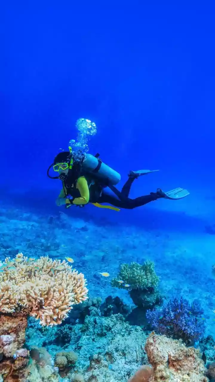 Top Coastal Eco-Resorts In Lakshadweep Offering Direct Access To Scuba Diving Reefs