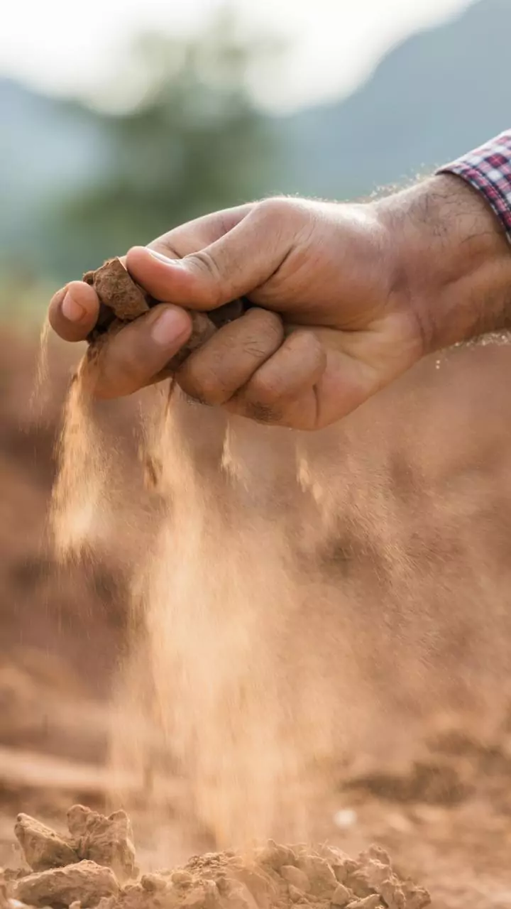 Central government team visits Beed, farmers seek ₹2L per hectare