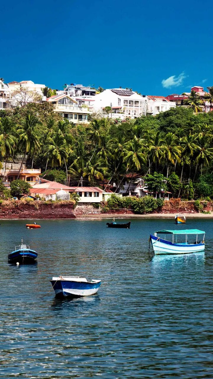 Goa economy grew by 14.94 pc in 2023-24, state will achieve 'viksit' tag by 2037: Guv