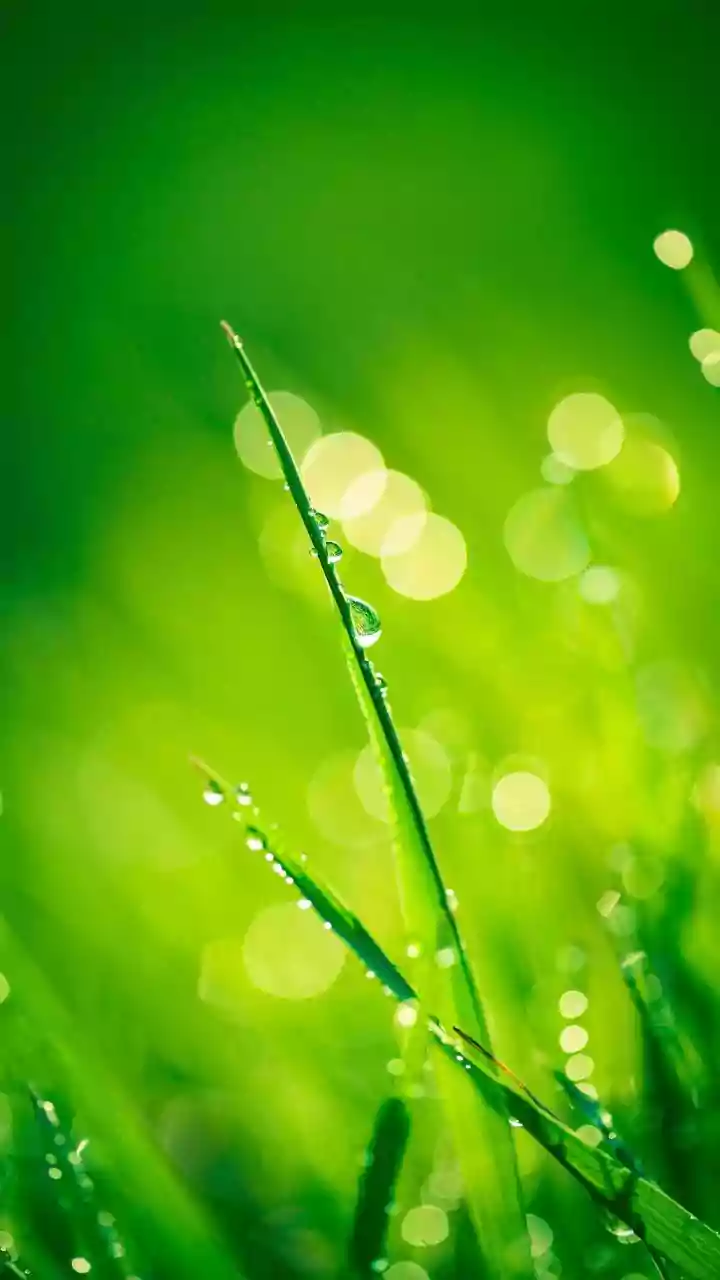 Why Ten Minutes Of Sunlight Each Morning Is Secret To Sharp Focus