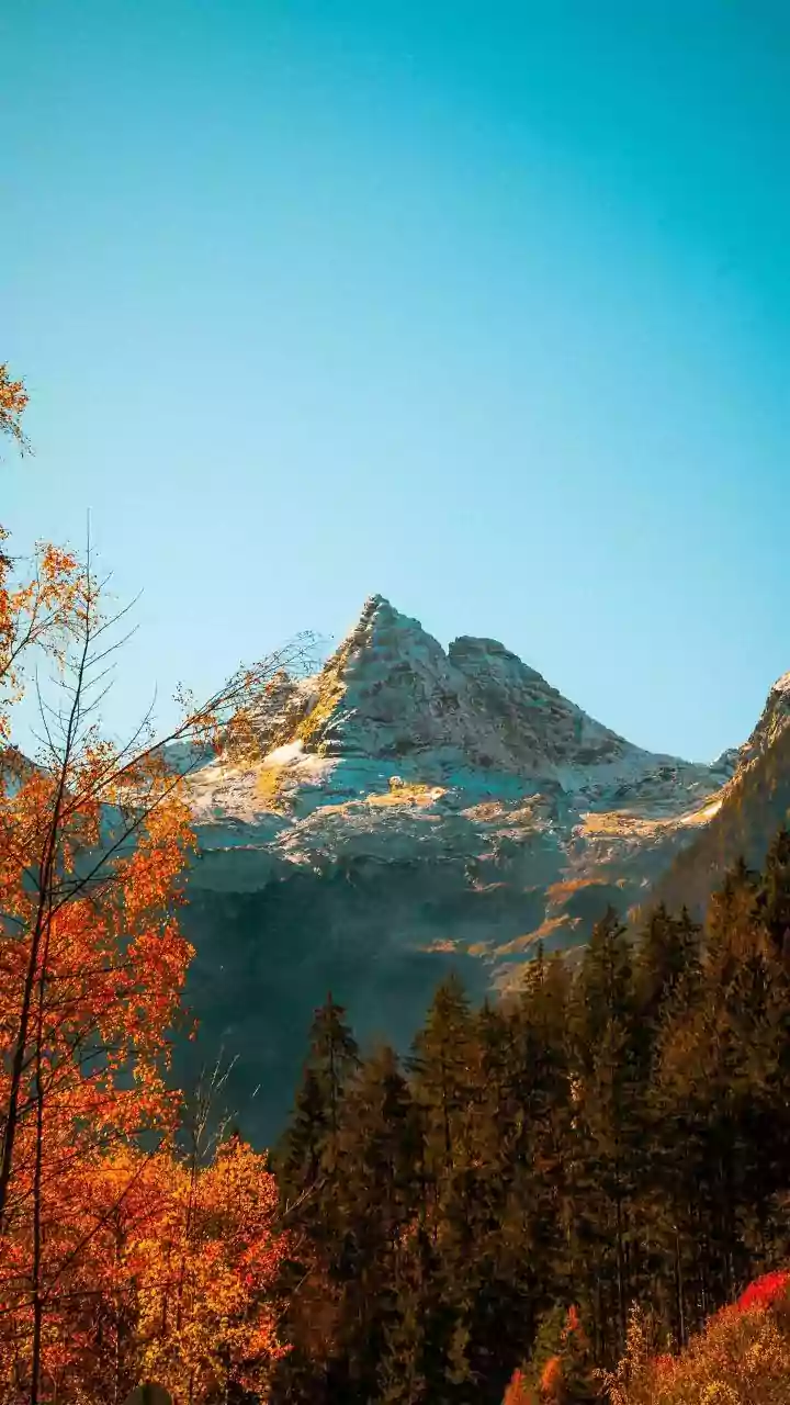 Explore Pine-Scented Mountain Trails In Offbeat Shoja On A Autumn Getaway