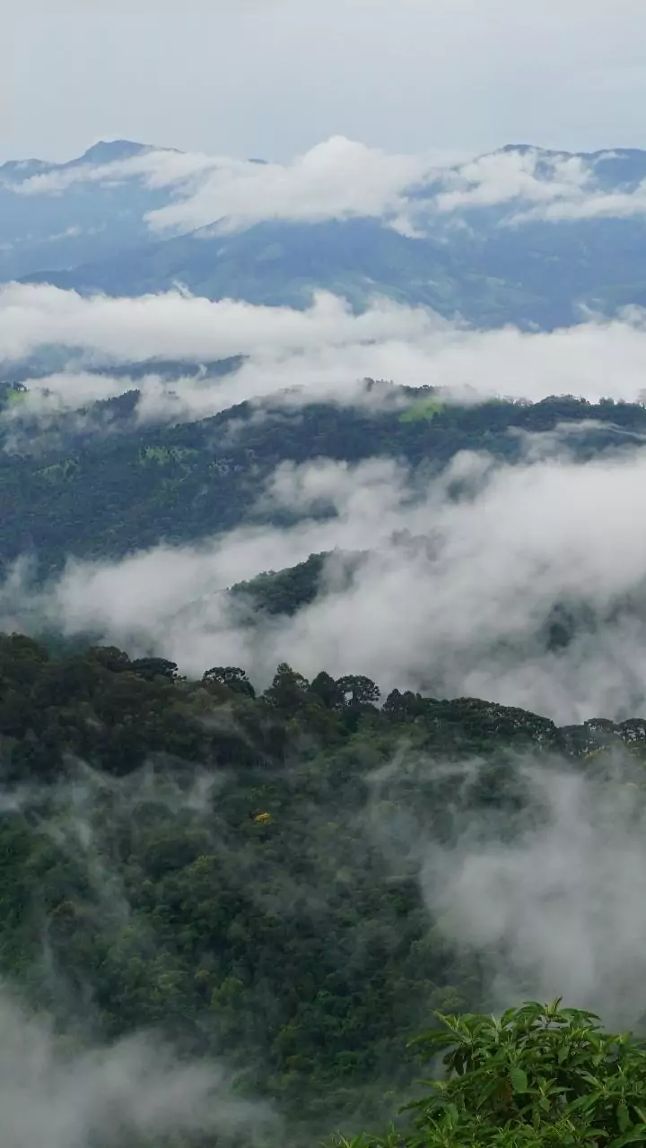 Parts of Rajasthan witness dense fog, minimum temp expected to drop between Dec 23-25