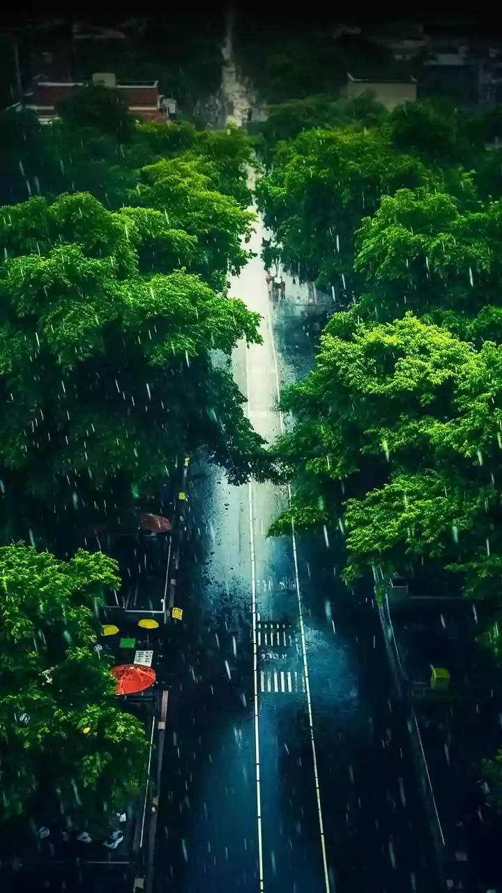 Delhi Shivers As Mercury Drops To 5°C, Rain Lashes Parts Of City And Air Quality Slips To Poor And Very Poor Levels