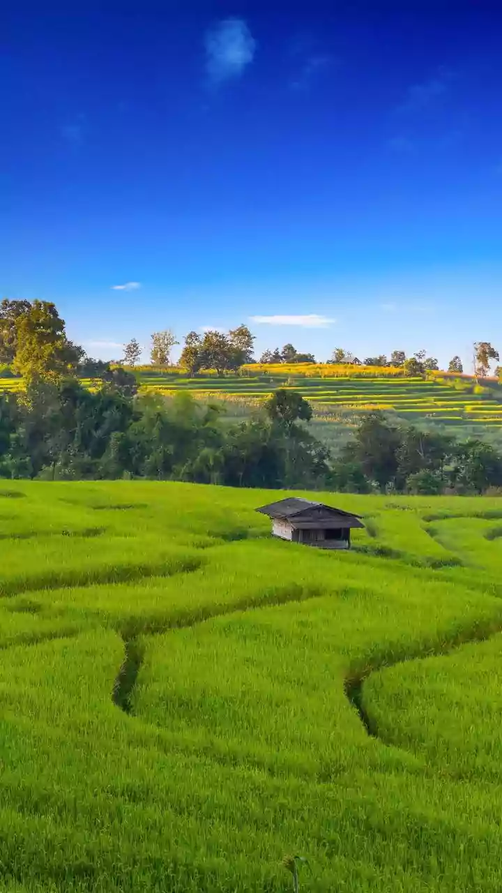 India's Near-Universal Village Banking Reach: The Case For Reviewing Everyday Rural Banking Use
