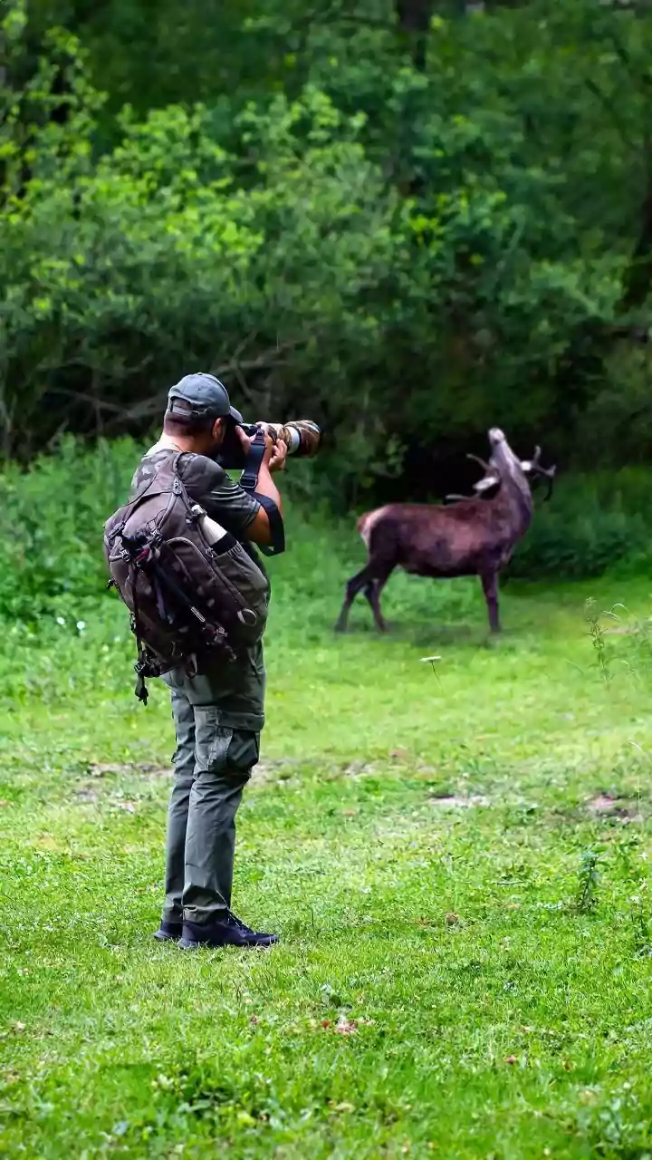 Career Guidance: 8 Jobs That Let You Make A Difference For Animals