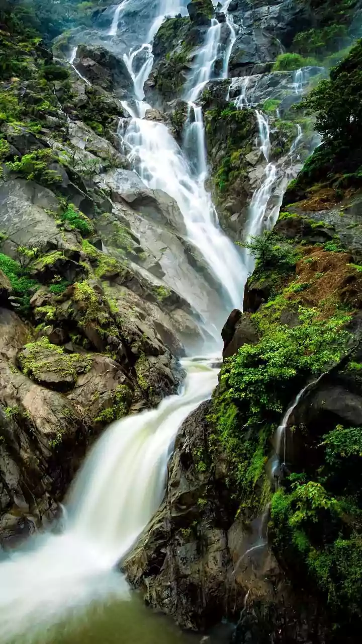 Off Season Slow Travellers Flock To Coorg Coffee Plantations For Refreshing Monsoon Nature Breaks