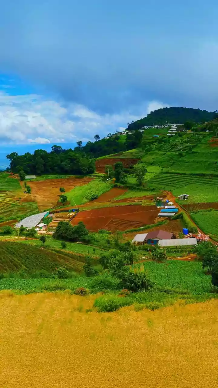 How to Weather-Proof Agriculture in India