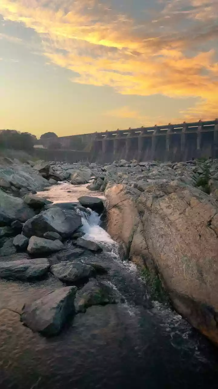 Karnataka ordered to release 3,500 cusecs water/day to Tamil Nadu