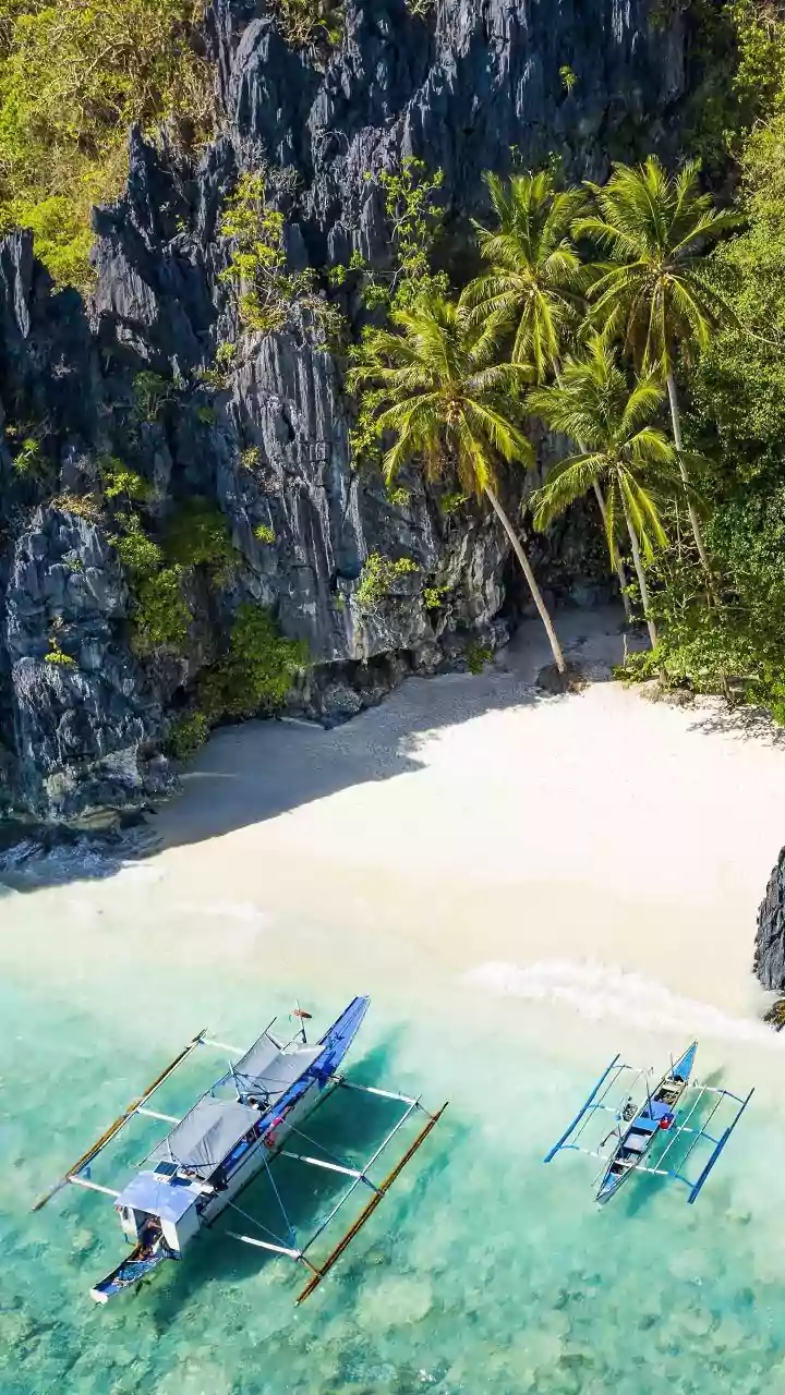 Islamic State links to Philippines visit before attack: How Bondi Beach father-son gunmen were radicalised