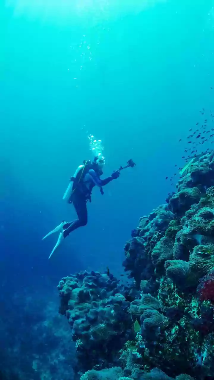 Why Certified Scuba Instructors Recommend Lakshadweep Lagoon Waters For Autumn Diving Lessons