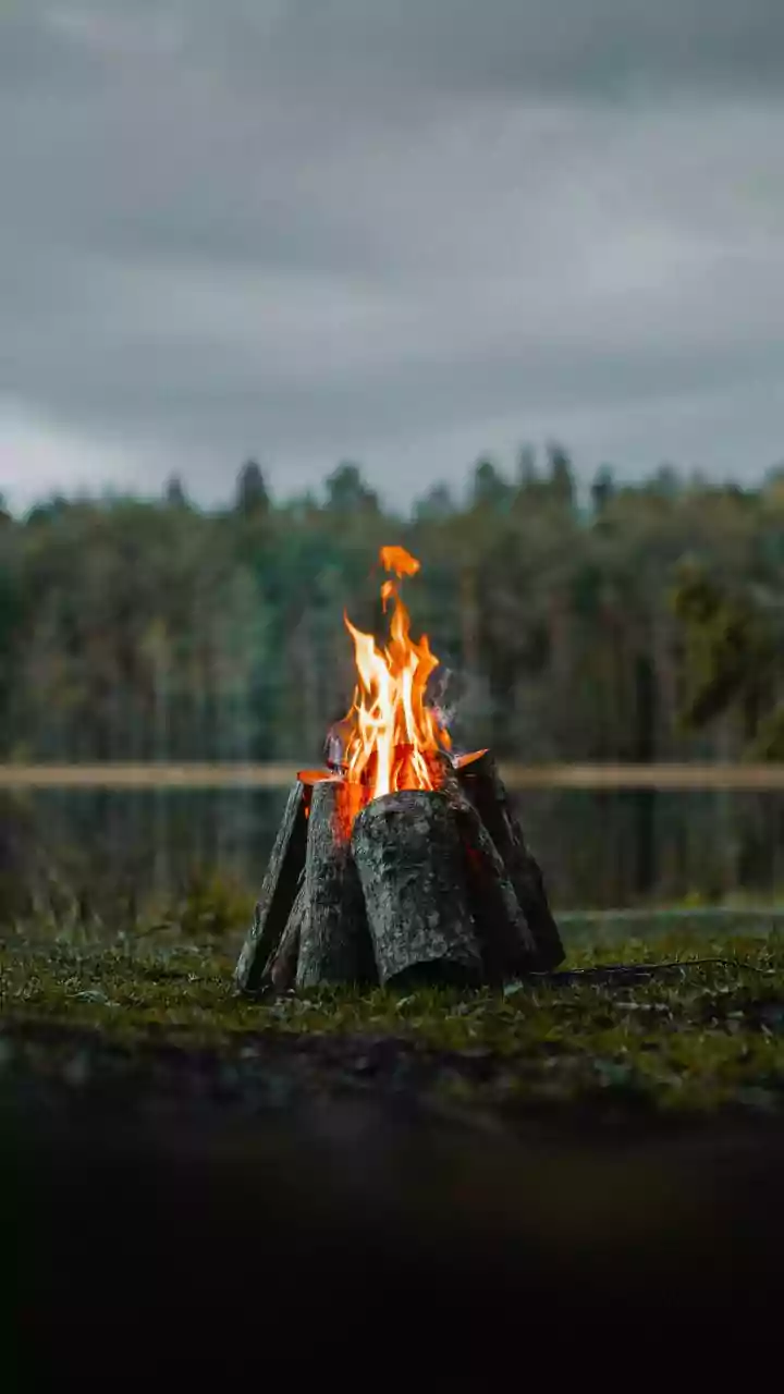 Uttarakhand readies firewood supply for businesses amid LPG shortage