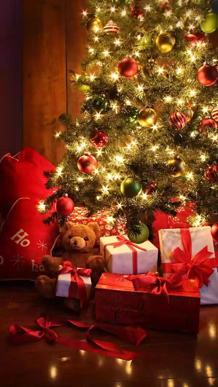 Kerala Minister blames Sangh Parivar for disrupting Christmas celebrations