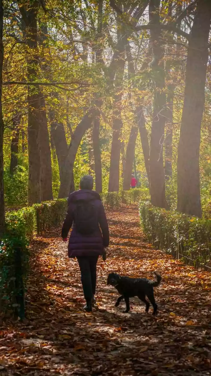 Mindful Walking May Improve Focus by Reducing Constant Distraction