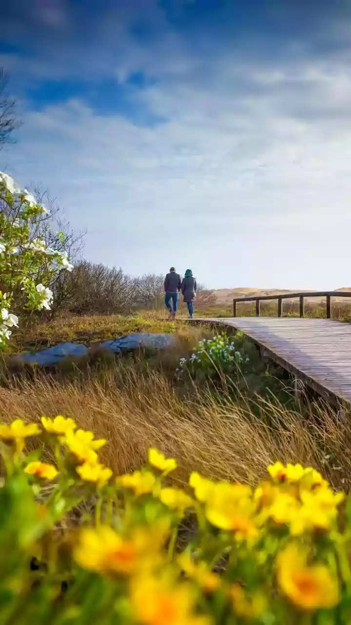Northern Spain's most peaceful coastal boardwalks: A list