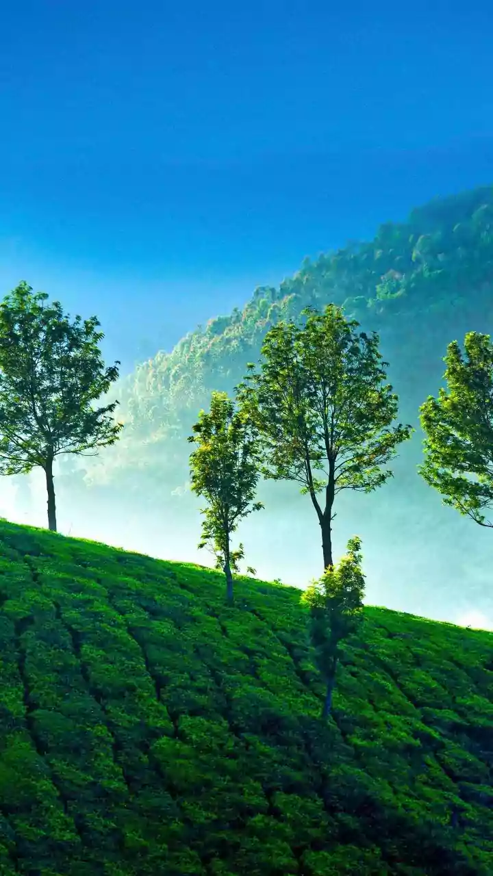 Kerala Festival Travel: How To Balance Comfort And Cost