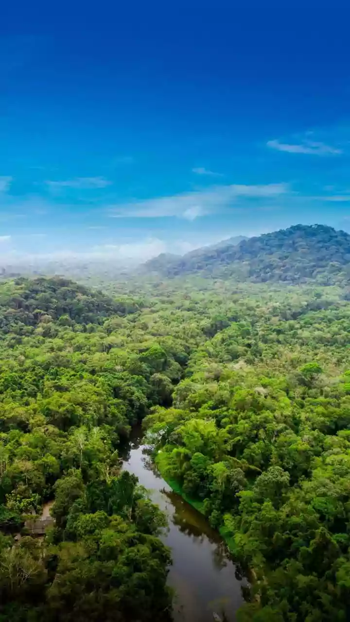 Sri Lanka's Luxurious Riverside Retreats & Hideaways