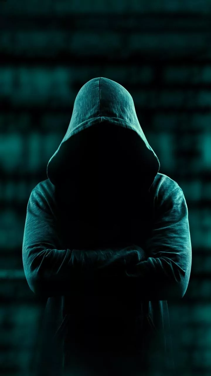 TN police detain 5 people involved in major cyber crimes