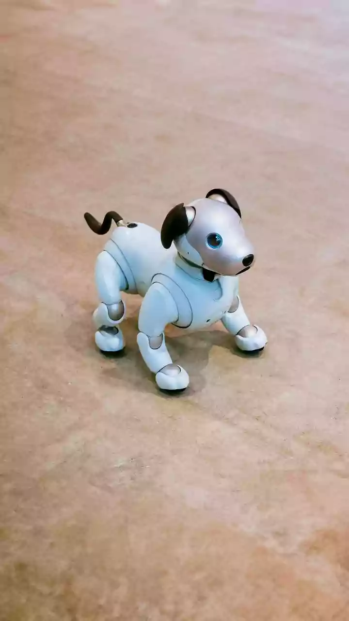 Elon Musk's Face on a Robot Dog: A Bizarre Public Spectacle Sparks Online Frenzy