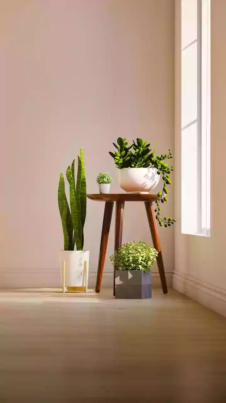 A Closer Home-Design Look At Kitchen Corners With Greenery Through The New Small-Space Gardening Trend