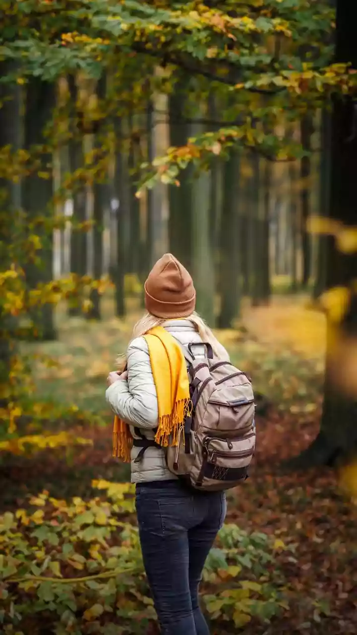Autumn In Europe And Seasonal Asia Are Becoming Stronger Options For Indian Holiday Plans