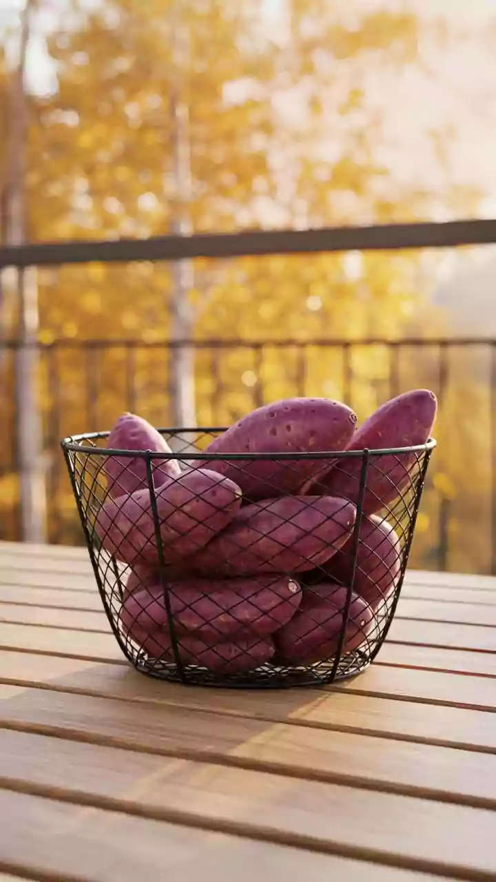 November Balcony Gardening: Best Compact Root Vegetables To Plant In Containers Now