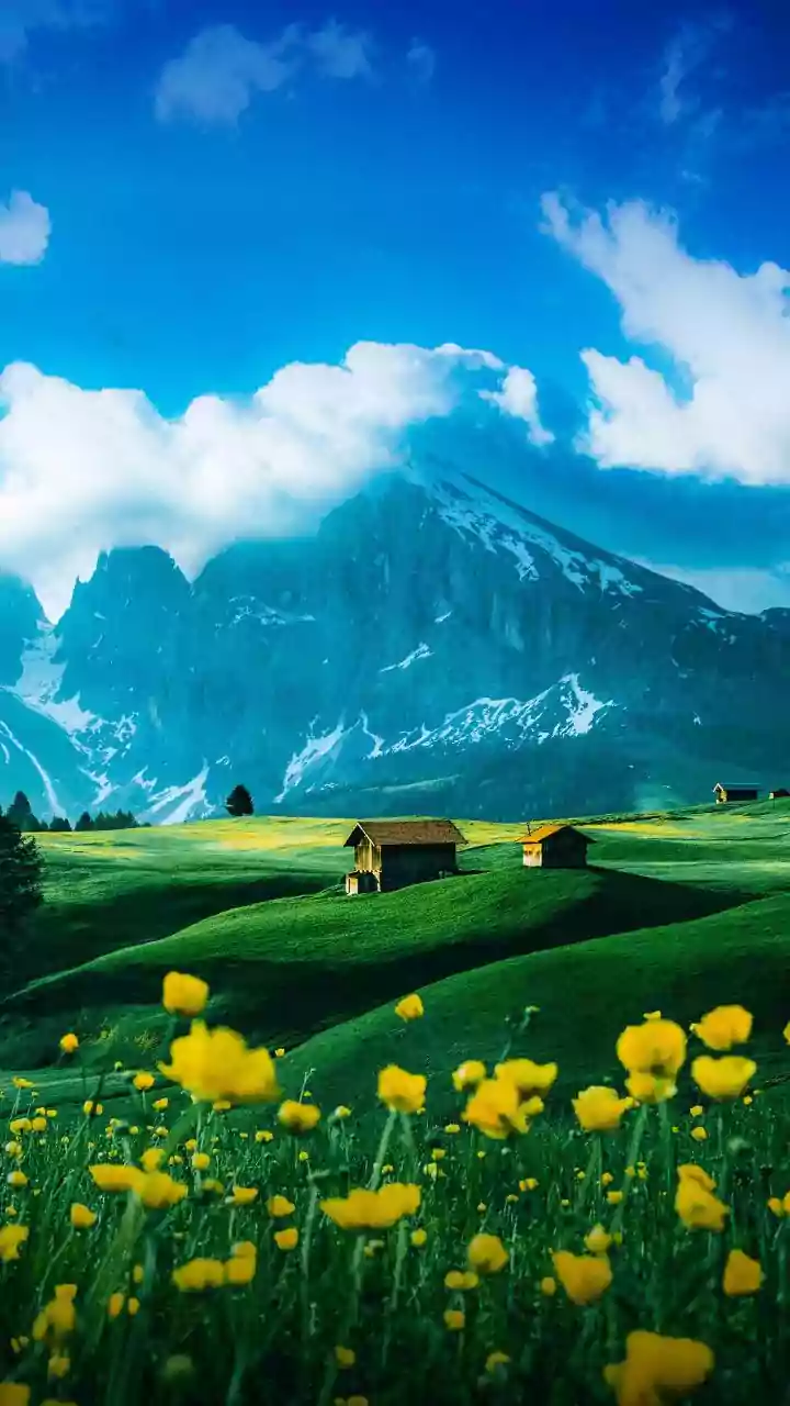 Discover Austria through its beautiful alpine meadows