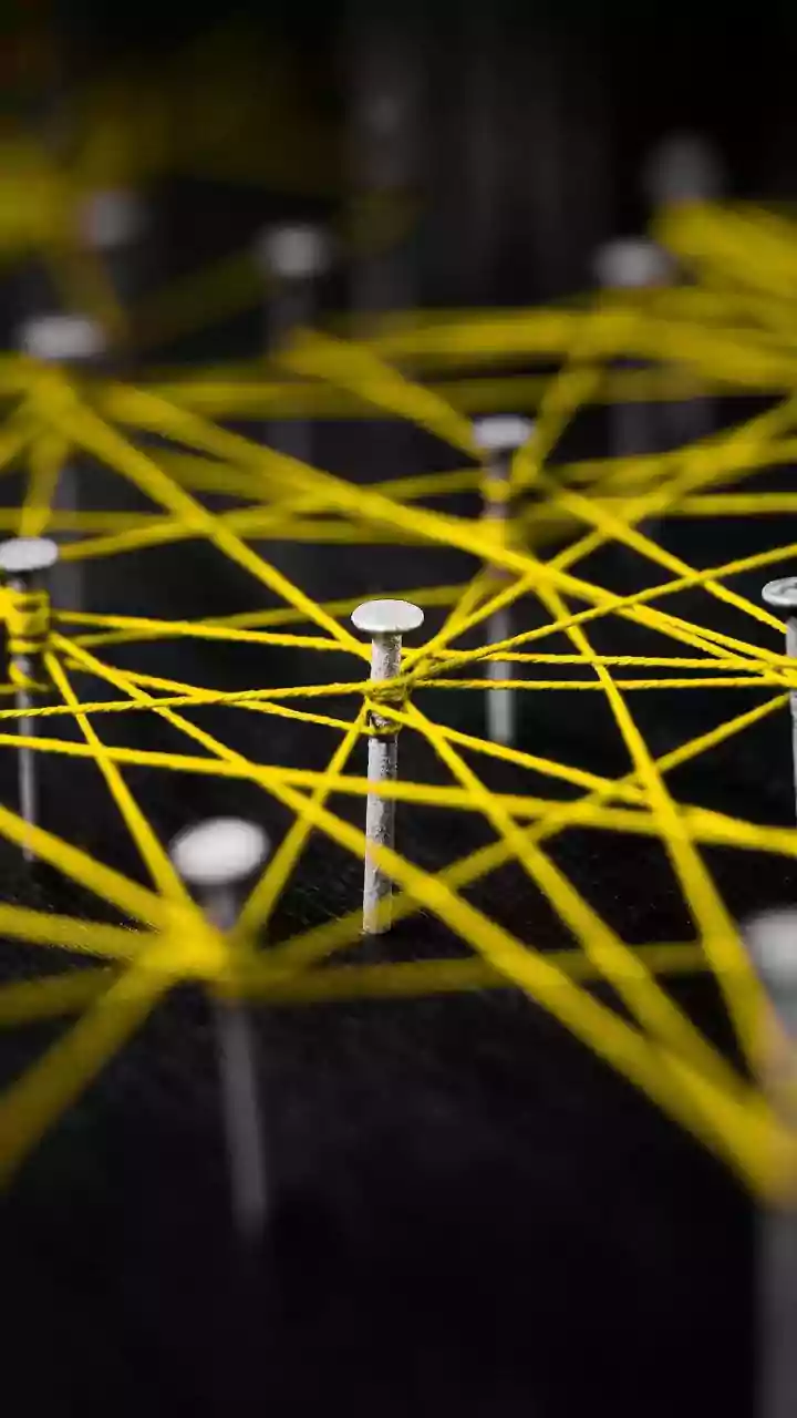 How Programmers Study Complex Open-Source Repositories Safely Using Local AI Tools