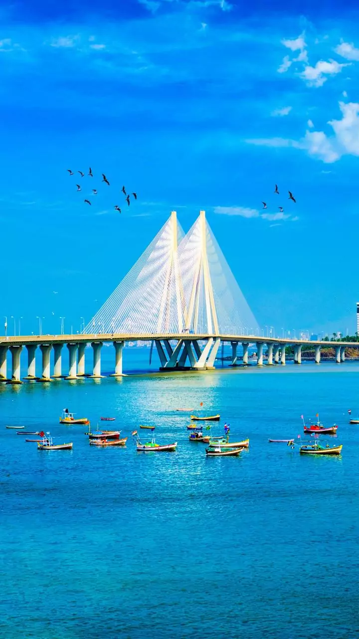 Cyber police unearth Rs 75.48 crore GST fraud; probe underway