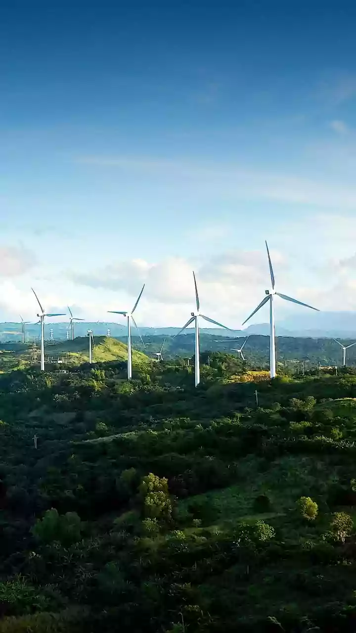 Odisha transforming into renewable energy hub, says GRIDCO CMD