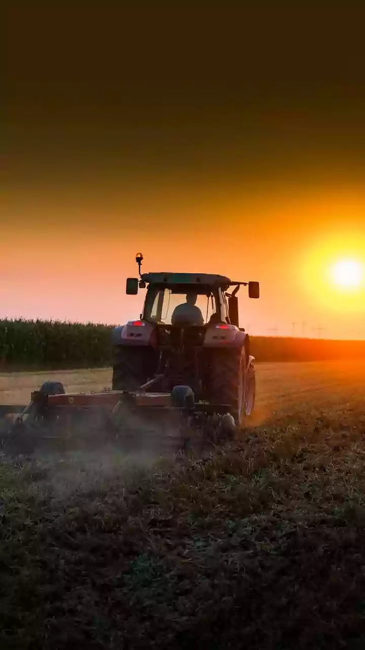 How Autonomous Farming Robots Manage Weeds Efficiently In Organic Fields