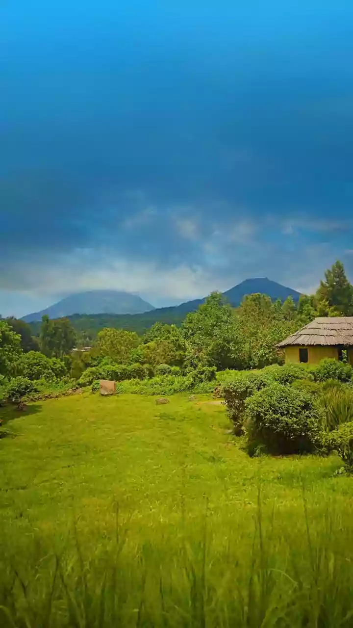 Breathe Easy: 5 Indian Homestays for Pure Air