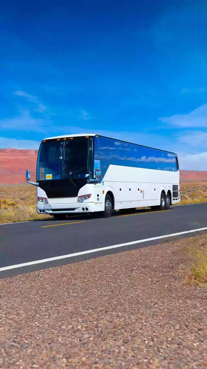 Andhra: 3 dead as bus-truck collide on Nandyal-Allagadda highway