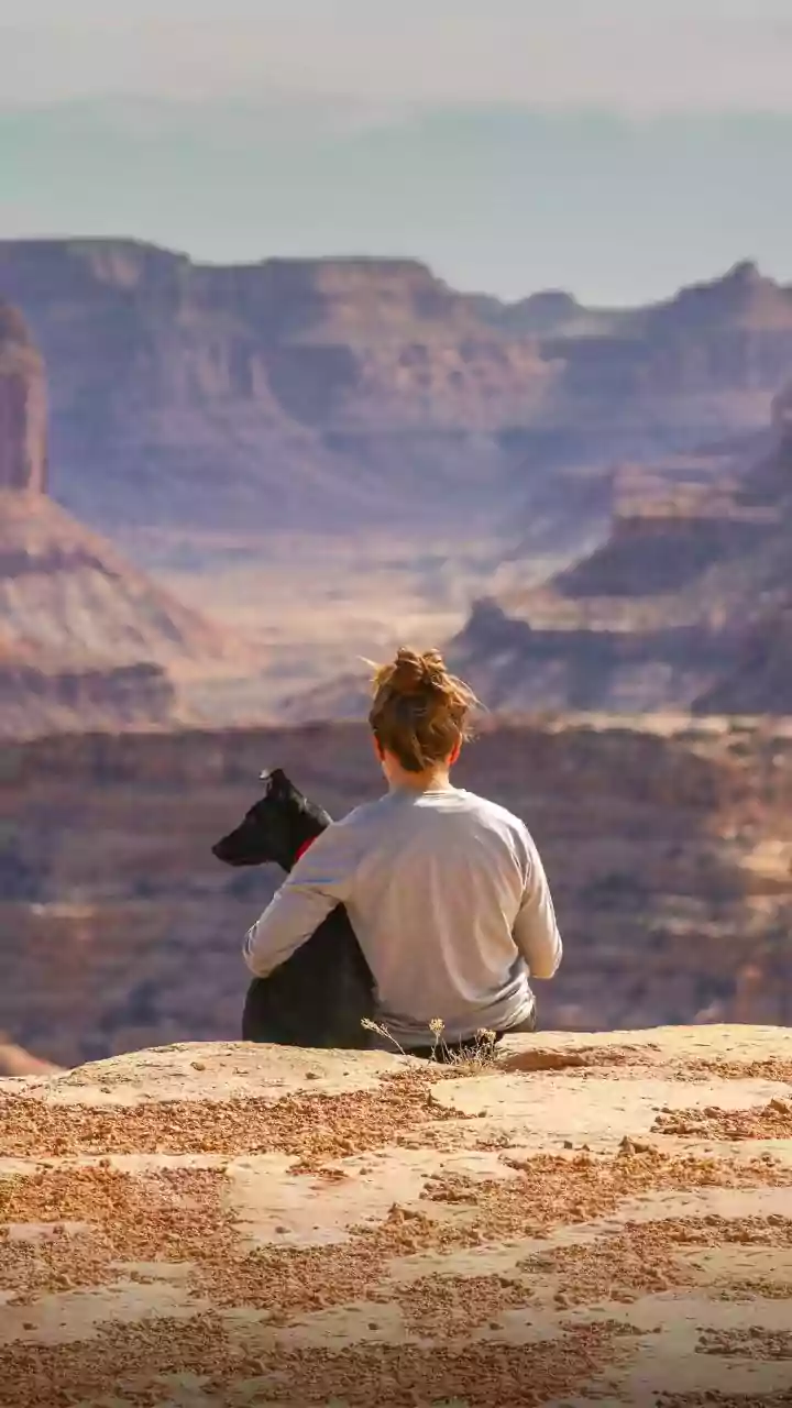 Your Ultimate Guide to Traveling the World with Your Beloved Pets