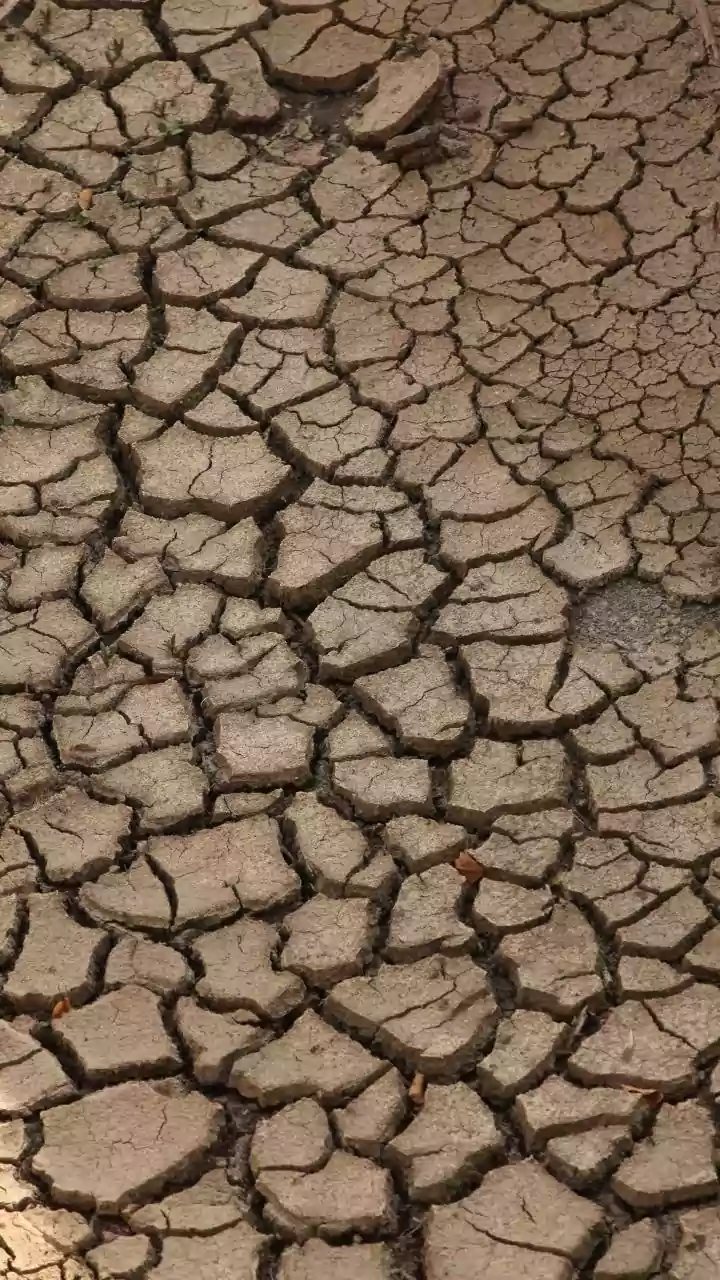 El Niño Intensifies, Raising Concerns for Africa and Beyond