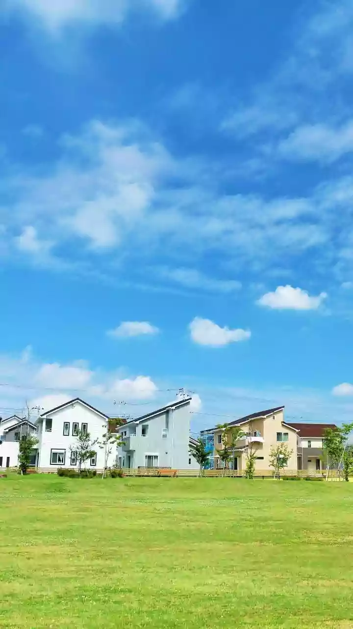 Healthy-Home Decisions Need a Walk around the Neighbourhood