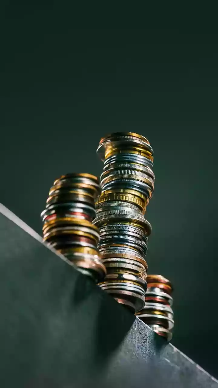 Silver, gold, international funds: Where investors put their money in 2025