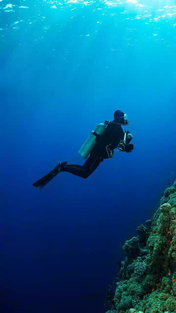 How To Plan An Action-Packed Scuba Diving Holiday To Lakshadweep On A Budget