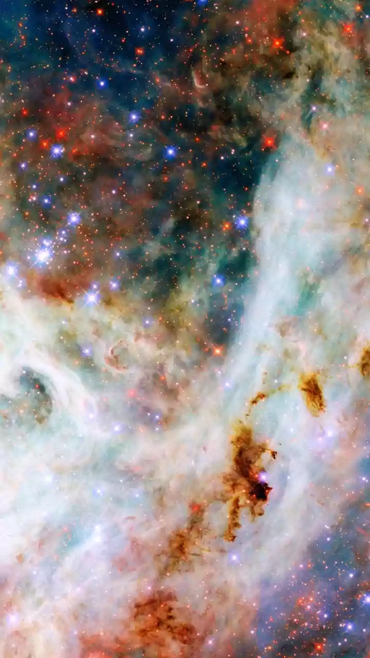 James Webb Captures the Lion Nebula's Dusty Mane
