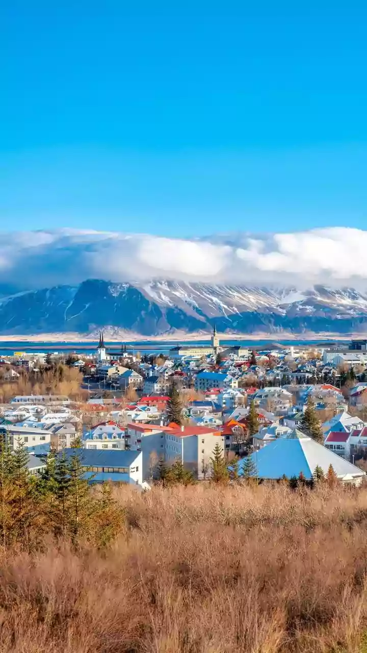 ‘Need More Sambandh’: Iceland PM Charms Audience With Hindi Word Beside Modi