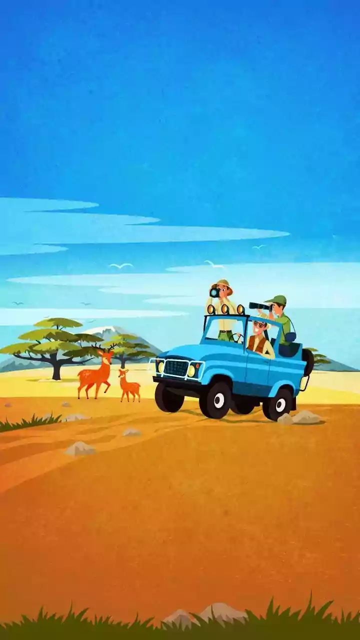 Planning to visit Indian safari parks? Skip these overrated ones