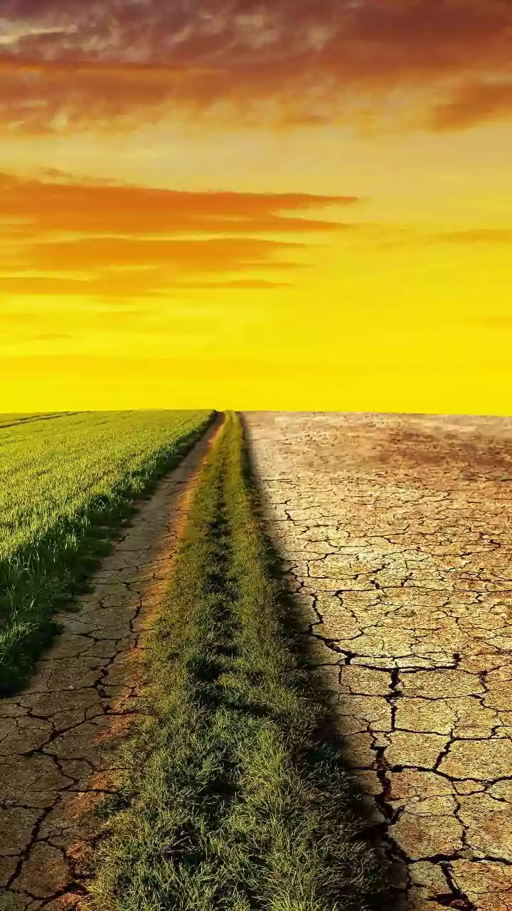 MP News: ‘Unprecedented 95 FIRs Registered…’ State Agri Minister Kansana Responds After Union Minister Shivraj Highlights Irregularities In Fertili...