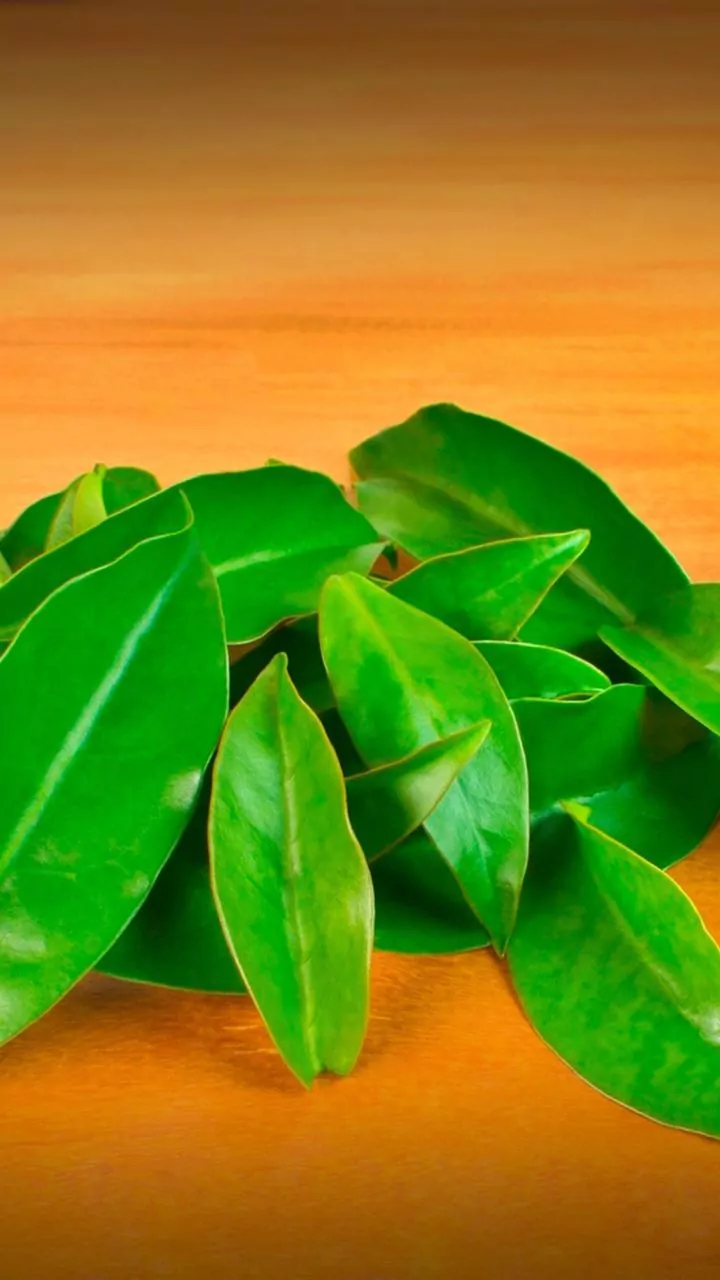 Cocoyam leaves: A hidden gem in healthy eating
