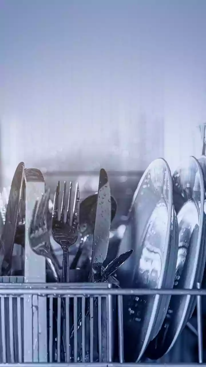 Josephine Cochrane: The Socialite Who Invented the Dishwasher Out of Frustration