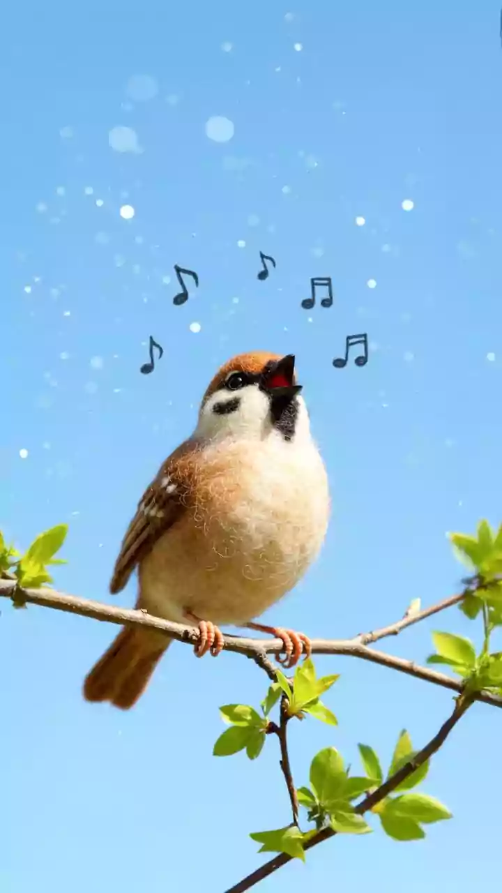 Noticing City Wildlife: Why Changing Temperatures Shift Urban Bird Singing Patterns Daily